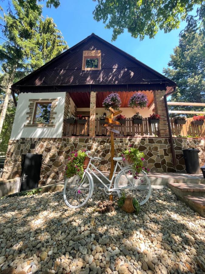 Cityside Cottage Eger Extérieur photo